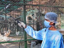 On march 5, 2017, the united states department of agriculture reported that a lethal outbreak of avian flu had struck a poultry farm in mississippi. Bird Flu Centre Deploys Teams In Kerala Haryana Mp Bans Chicken Import From Southern States India News Times Of India