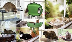 $3.00 coupon applied at checkout save $3.00 with coupon. The 11 Best Cat Window Beds Of 2021 Sleep In The Sun