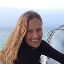 What is COVID-19's impact