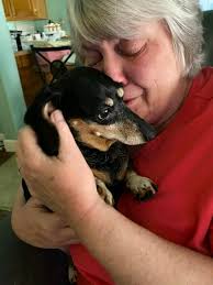 Saying goodbye to a beloved pet