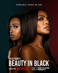 Tyler Perry's Netflix Series 'Beauty in Black' Review and Discussion