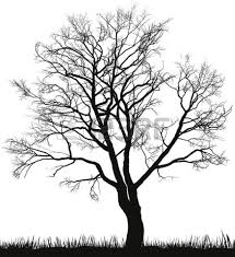 Erstes Tattoo Rucken Geht Das So Tattoo Bewertung De Baum Illustration Winter Baume Baumzeichnung