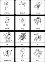 6 minute quiz 6 min. Spring Flowers Vocabulary For Kids Learning English Vocabulary Quiz