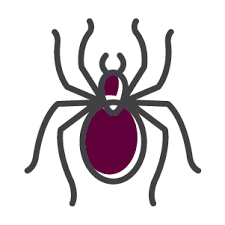 Request your free home estimate. Pest Management Of Texas Inc Dallas Tx