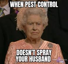 Trust terminix to rid your home from pests and termites. Pest Control Memes Posts Facebook