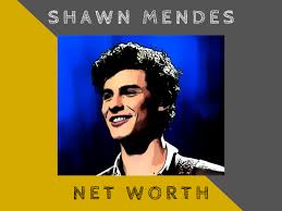She soon became famous due to her ability to compress all she wanted to say. Shawn Mendes Net Worth In 2020 Ordinary Reviews