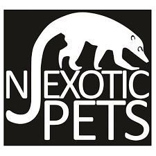 Nj exotic pets in lodi, nj are selling sick and neglected animals. New Jersey