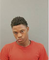 ᐅ Illinois Criminal Records 2009-2025