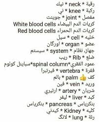 Pin By Zozo Hazar On انكليزي In 2020 Learn English Words Learn English Vocabulary English Phrases