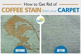 A coffee spill is stressful, unsightly, and is there are a number of ways to remove the coffee stain using general household items most of us have handy. How To Remove A Coffee Stain From Carpet 3 Easy Methods Fab How