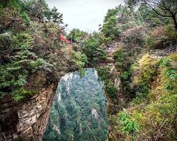 袁家界 天下第一橋的圖片