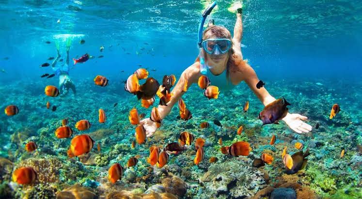 Con Dao snorkeling: Explore stunning coral reefs in Vietnam – VinWonders