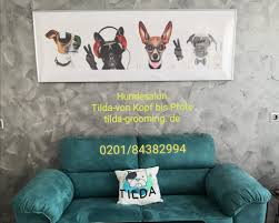 Hundesalon Tilda-von Kopf bis Pfote