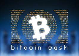 Merely a month away from the next bitcoin cash technical update, the ifp protocol remains embedded in the bitcoin abc code. Bitcoin Cash Bch Community Fractured By Sudden 12 5 Mining Tax