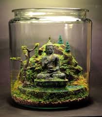 A Beautiful Terrarium Gardening Minipuutarha Keijupuutarha Huonekasvit