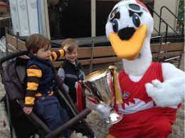 Sydney swans turnstyle canvas print. The Crying Swan The Hawks Fan Inside The Sydney Mascot Suit Mojo News