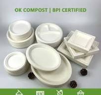 14X10" Biodegradable Sugarcane Disposable Big Rectangular Deep Meat Tray in Kh-TM-P122