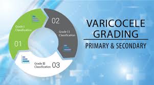 What Are The Different Grades Of Varicocele Azura