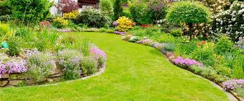 Creation Jardin Zen Andernos D Lys Paysage Nord Bassin Cap Ferret Amenagement Exterieur D Lys Paysage Outdoor Gardens Outdoor Garden Top Soil