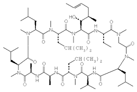 Petitively binds to and inhibits calcineurin, a following the oral administration of ciclosporin, the. Wirkstoffprofile