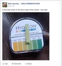 A Comprehensive Guide To Testing Ph Of Food And Drink