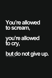 25 Never Give Up Quotes Quotes And Humor