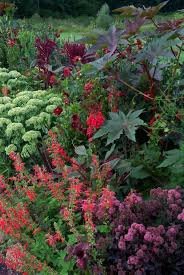Pin On Landscaping Ideas