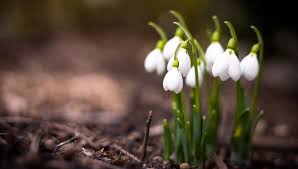 Puteți vizualiza datele statistice pentru vreme pentru luna în întregime, dar clima este suficient de geroasă aici în martie, dar estebut it is admisibilă dacă vă îmbrăcațicălduros. Prognoza Meteo Pentru Perioada 8 Martie 5 Aprilie Anm A AnunÈat Cum Va Fi Vremea In Luna Martie