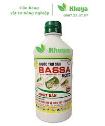 Bassa 50EC