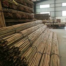 Big Bamboo Poles for Plant High-Quality Wholesale