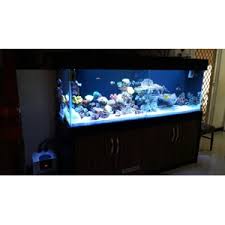 Toko jual perlengkapan aquarium air tawar termurah di jakarta bekasi dan bandung kini memberikan potongan harga hingga 50% untuk segala jenis barang perlengkapan aksesoris aquarium. Jual Akuarium Di Surabaya Toko City Aquaworld Surabaya Sidoarjo Jawa Timur Indotrading