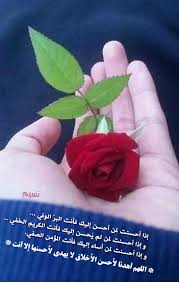 pin by نسيم naseem on تصميمات نسيم plants stuff to buy