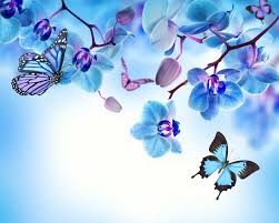 Orchid Blue Flowers Beautiful Butterflies Orchid Flower Butterfly Most Beautiful Butterfly Beautiful Butterflies Orchid Drawing