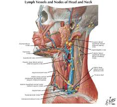Pin On Health Best Sites Can T Lose This