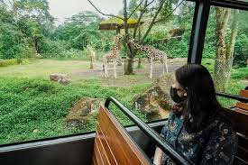 Hasil foto dari para penjaga yang meniru aksi hewan kemudian diunggah pada facebook minnesota zoo. Sandiaga Dorong Pemulihan Lembaga Konservasi Kebun Binatang Gaya Hidup