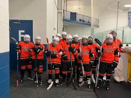 2013 Biggby AAA Hockey Team