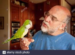 A parrot learns a lesson about gratitude