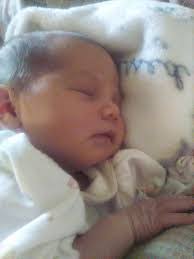 Priscilla Yoder's Instagram, Twitter & Facebook