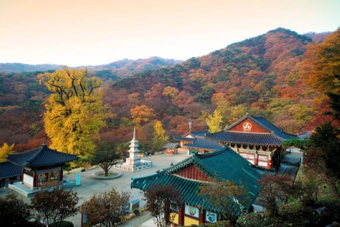 용문사(양평) 사진 1