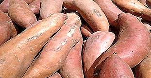 Maybe you would like to learn more about one of these? Leader Mondiali Nella Produzione Di Yam 2021