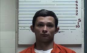 GREEN, JAIME HIDALGO Arrest Date: 04/18/2025 00:00 Offenses: