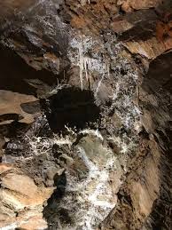 Image result for Chascanum