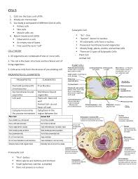 Check spelling or type a new query. Cells Studocu