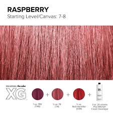 Color Xg Formula Created By Paul Mitchell Paul Mitchell