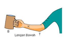 Di bawah ini yang bukan merupakan tuas atau pengungkit adalah …. Pesawat Sederhana Lemari Guru