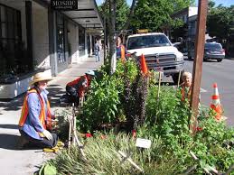 Maybe you would like to learn more about one of these? Flower Program City Of Edmonds Wa