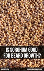 Home Blend Of Bites Best Foods Food Beard Growth