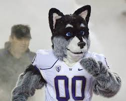 Washington Huskies Uw Mascot Harry The Husky He First Appeared In 1995 And Was Redesigned In 2010 Washington Huskies Mascot Washington Football