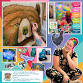 Behind the Brush with Amanda Rose Warren