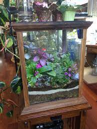 Welcome Beautiful Terrariums Orchid Terrarium Terrarium